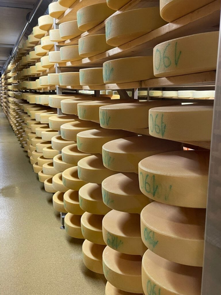 Reifung von Käse in der PURA Erlebnismanufaktur, handgefertigte Käseherstellung.